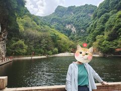 -少华山国家森林公园