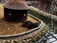 -呀路古热带植物园