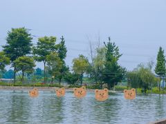 -百林岛梦里水乡