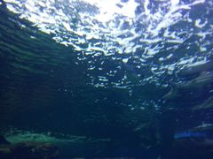 -多彩贵州城极地海洋世界