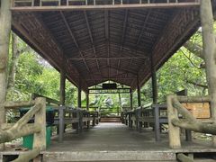 -海口火山口国家地质公园