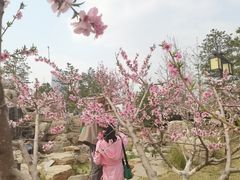 -西海子公园