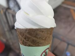 -富豪雪糕车流动点(尖沙咀店)