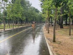 -秦皇岛野生动物园