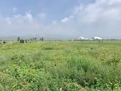-敕勒川草原