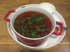 -谢列梅捷沃国际机场