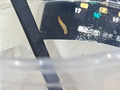 -陈学正酸梅汤(大学习巷店)