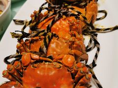 大闸蟹-扬州狮子楼·非遗淮扬菜(总店)