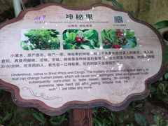 -南山植物园