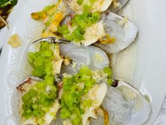 扇贝-老三鱼仔店