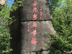 -汤旺河林海奇石景区