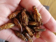 -圣约瑟夫大教堂