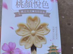-桃花堤公园