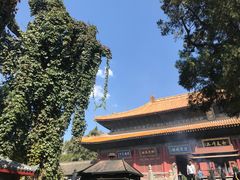 -中岳庙
