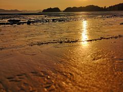 -普陀山风景名胜区-千步大沙