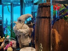 -涛·海底餐厅·美人鱼·自助餐·海底隧道(三亚海棠湾洲际度假酒店)