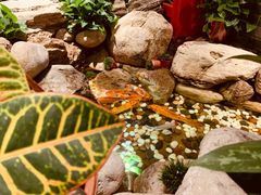 -清真·京华源铜锅涮肉(丰庆店)