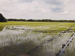 -嘉北郊野公园