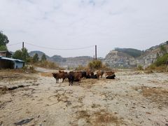 -黄埔油麻山森林公园