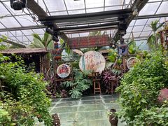 -呀路古热带植物园