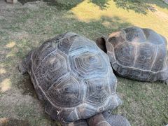 -杭州野生动物世界