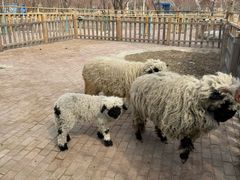 -水上乐园·欢乐世界