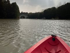 -上海海湾国家森林公园