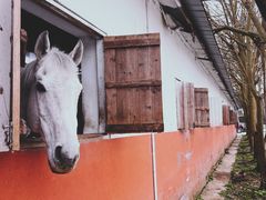 -重庆和泰马术俱乐部