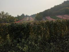 -南翠屏公园