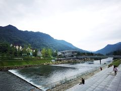 -四川省成都市彭州市白鹿镇