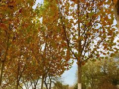 -永定河休闲森林公园