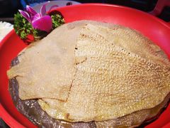 -二荆条·蜀鲜汇城市森林火锅