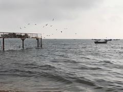 -兴城海滨风景区
