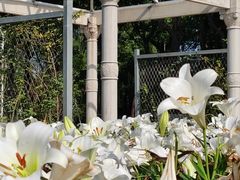 -石家庄市植物园