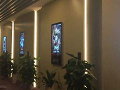 -中影嘉华国际影城(大芬星都里店)