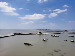 -福如东海文化园