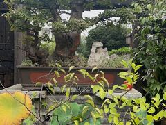 -古韵餐厅(湖畔大学店)