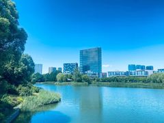 -大兴滨河森林公园