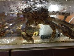 -鱼乐轩海鲜专门店