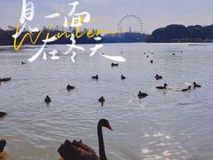 -上海野生动物园