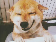 -遇东岚·重庆渝东南菜(爱琴海店)