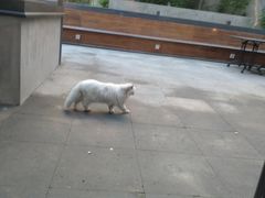 -北京三里屯CHAO酒店