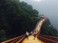 -少华山国家森林公园