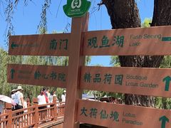 -白洋淀景区