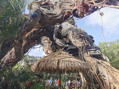 -奥兰多迪士尼动物王国乐园