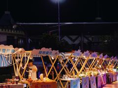 -巨鹏飞梦幻海岸