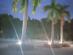 -金鸡岭桥头公园