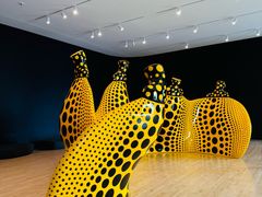 -旧金山现代艺术博物馆