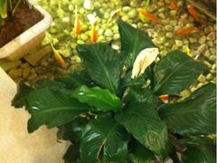 -衡山汇·高级粤菜(霄云路店)