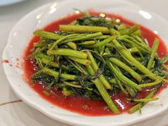 腐乳空心菜-海金滋(陕西南路店)